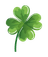 Shamrock Icon